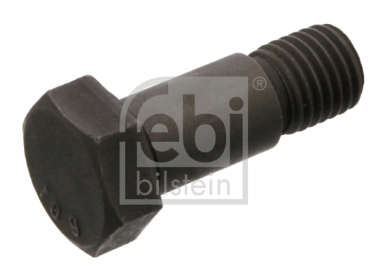 Bolt, brake caliper